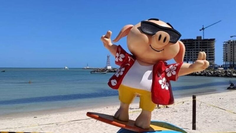 Progreso: Explore Progreso Tour - Important Information