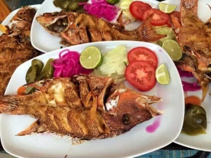 Progreso: Explore Progreso Tour - Meal and Cuisine