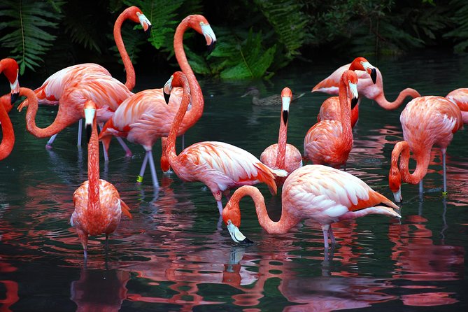 Progreso Explore the Xcambo Mayan Ruins and Beach Break - Itinerary Highlights
