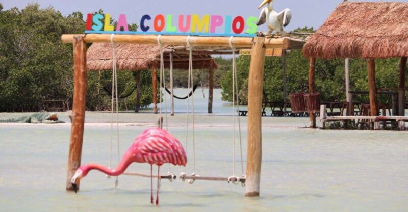 Progreso Island Swing and Pig Beach Club Day Pass - Transportation and Meeting Points
