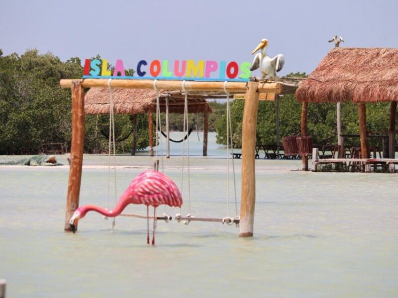 Progreso Island Swing and Pig Beach Club Day Pass - Tour Experience and Highlights