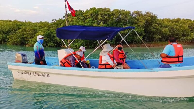 Progreso Island Swing and Pig Beach Club Day Pass - Important Information