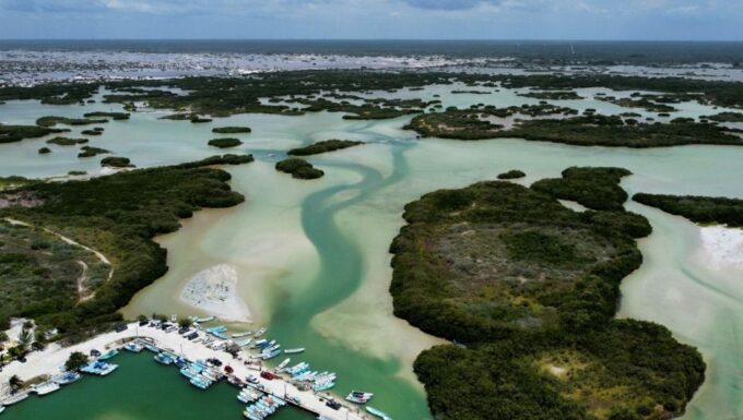 Progreso Island Swing and Pig Beach Club Day Pass - Payment and Booking