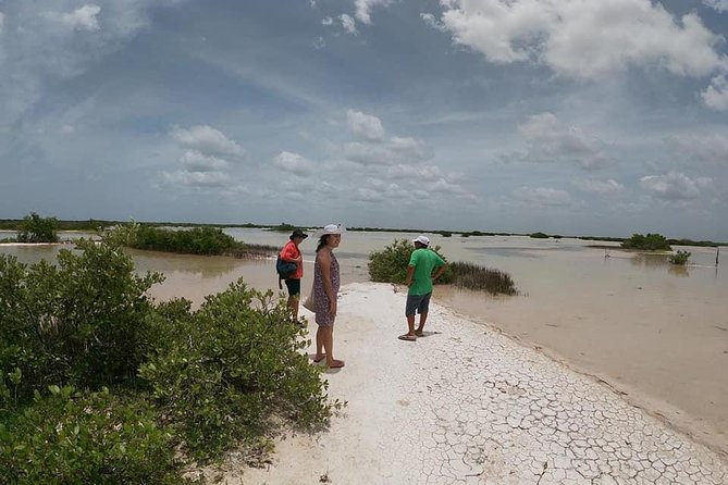 Progreso Port, Aguas Rosas and Cenote. - Frequently Asked Questions