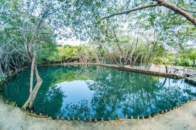 Progreso: Xcambo Mayan Ruins and Beach Break - Mangrove and Bird Sanctuary