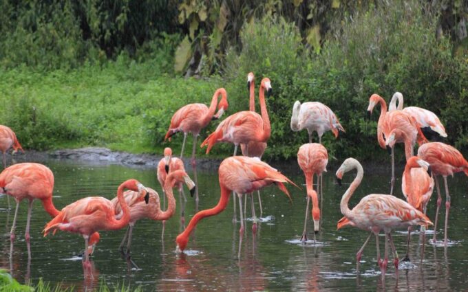 Progreso: Xcambo Mayan Ruins and Beach Break - Frequently Asked Questions