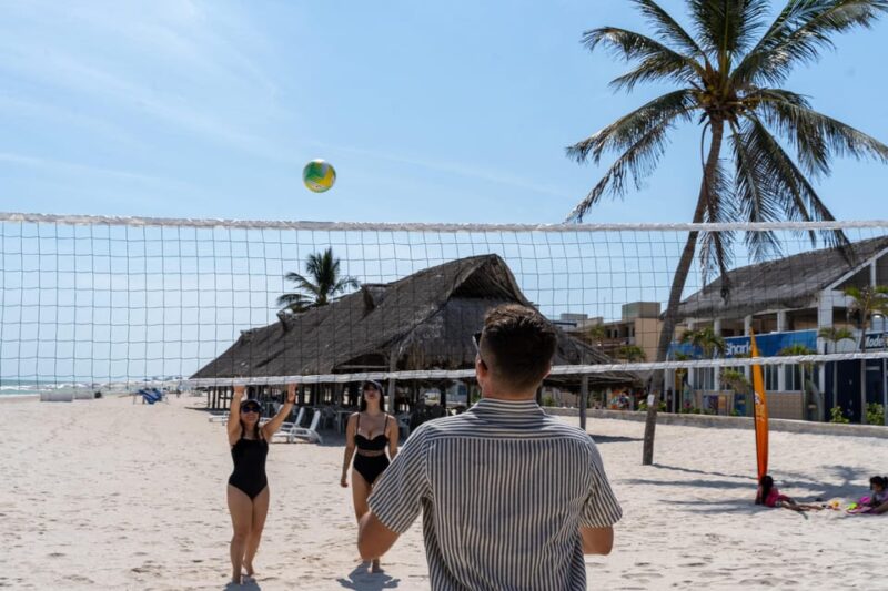 Progress: Chichís Beach Club - Customer Feedback