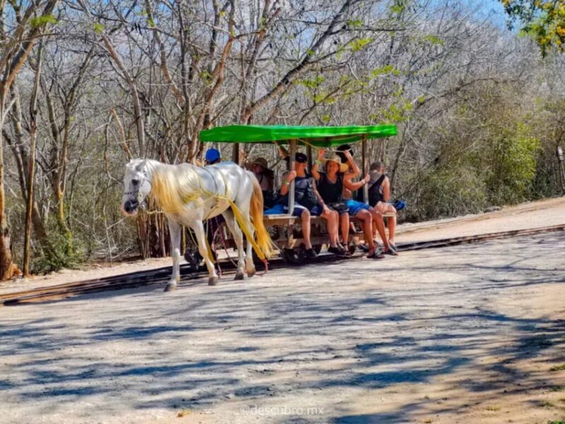 Progress: Excursion to the Santa Barbara Homun Cenotes - Key Points