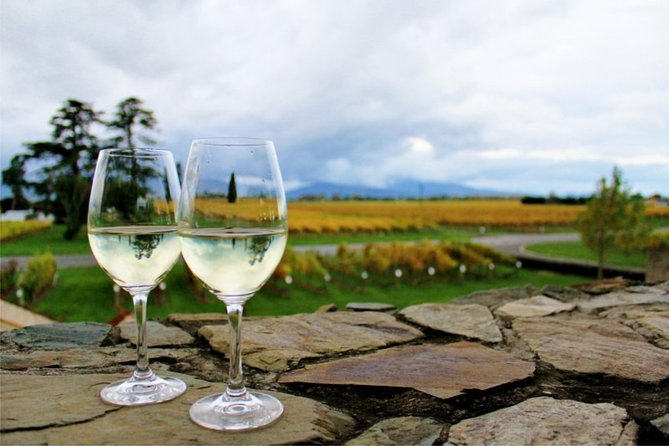 Progressive WINTER Wine and Gourmet Trail of Marlborough - Vineyard Garden and Wine Tasting