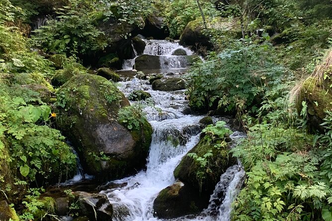 ProkošKo Lake: a Day Tour to the Forgotten Village From Sarajevo - Accessibility and Participation