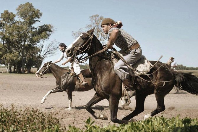 Promo Buenos Aires: City Tour & Gaucho Experience - Highlights in Buenos Aires