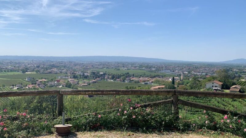 Prosecco Hills Private Tour All Inclusive. 2 Wineries+Lunch - Inclusions and Exclusions