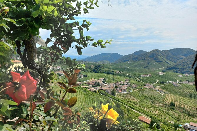Prosecco Hills Tour With Wine Tasting & Lunch From Venice Treviso - Meeting Points and Accessibility