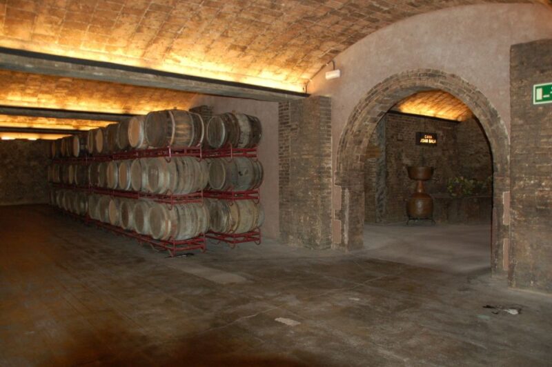 Prosecco Road: Full Day Tour and Wine Tasting - Itinerary Highlights