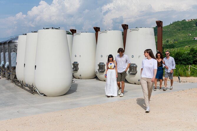Prosecco Tasting, Appetizers and Tour of the Cellar and Vineyards - Inclusions and Amenities