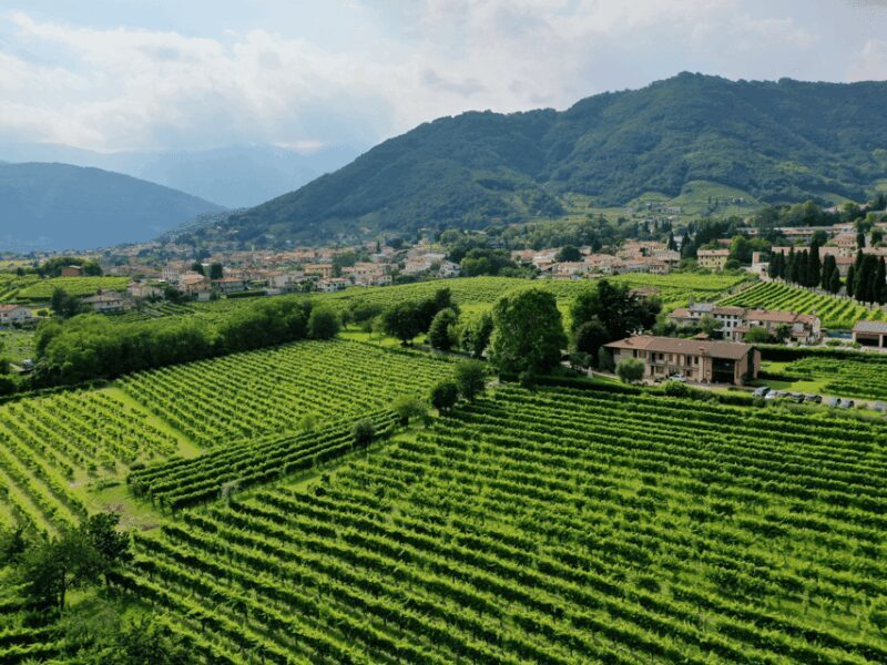 Prosecco Tasting in Countryside Winery - Tasting Experience