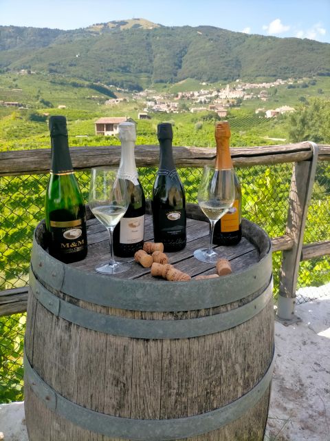 Prosecco Wine Tasting Tour. Half Day. From Venice - Tour Experience