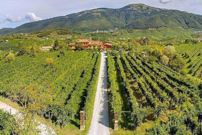Prosecco Wine Tasting Tour. Half Day. From Venice - Free Cancellation Policy