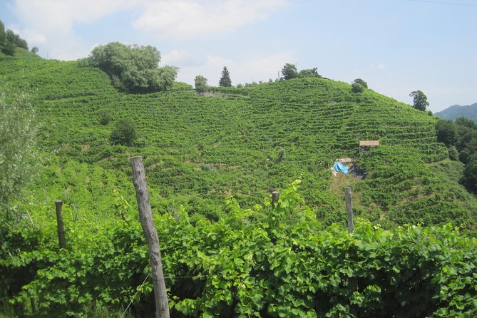 Prosecco Wine Tour (All-Inclusive Full Day With Lunch and Expert Wine Guide) - Tour Overview