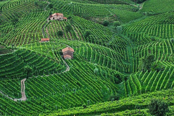 Prosecco Wine Tour. Full Day From Venice - Lunch and Local Cuisine