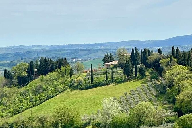 Prosecco Wine Tour. Full Day From Venice - Meeting Point and Logistics