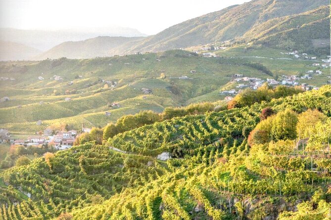 Prosecco - Wine Tour & Tasting - Full Day in the Prosecco Region - Meeting Point and Arrival Time