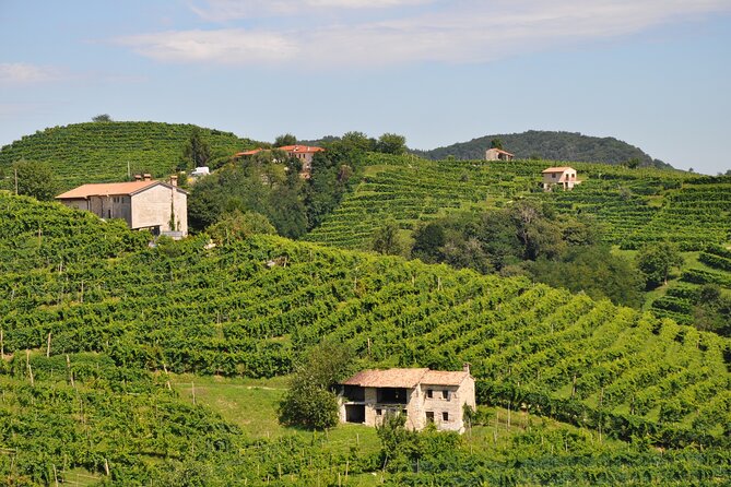 Prosecco'S Roots & the Karst Region From Trieste - Pairing Local Cuisine With Prosecco