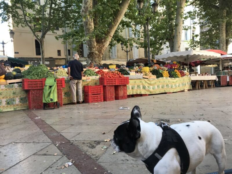 Provencal Market Walking Tour With Tastings - Provences Delicacies Sampling