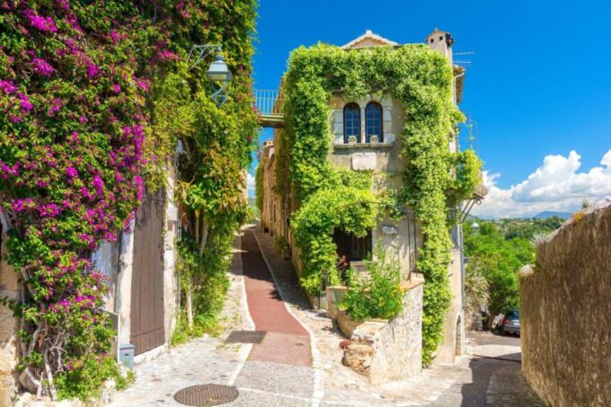 Provencal Market & Wine Tasting Full Day Tour - Professional Driver/Guide for Your Journey