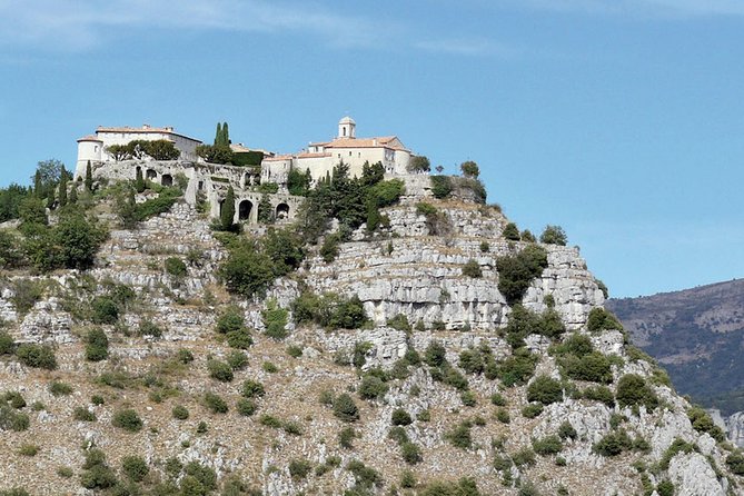 Provence and Lavender - Private & Guided Full Day Tour - Accessible Features