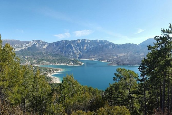 Provence and Lavender - Private & Guided Full Day Tour - Service Quality