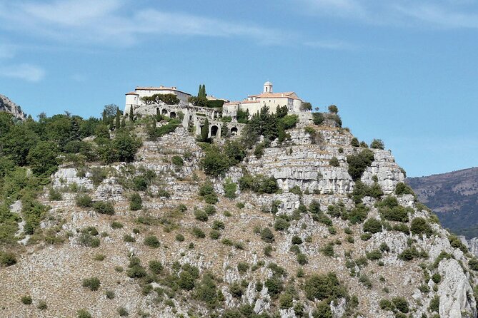 Provence and Tradition - Private Guided Tour - Reviews and Feedback