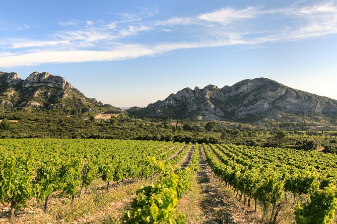 Provence and Wine Tasting by E-Bike From Saint-Rémy-De-Provence - Electric Bike and Equipment