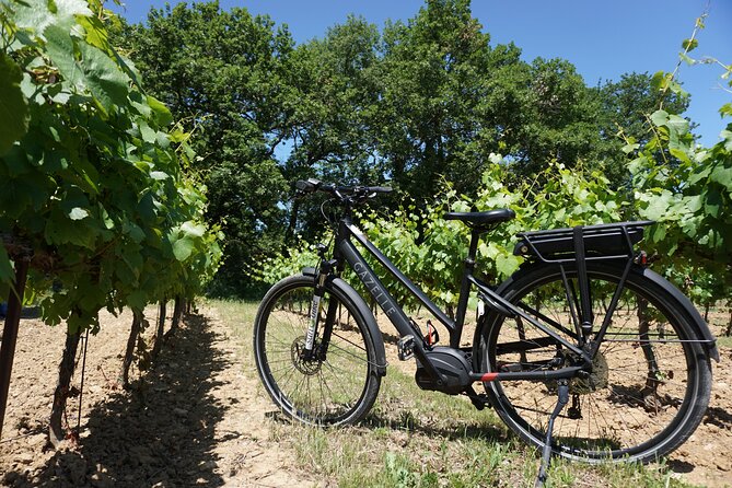 Provence and Wine Tasting by E-Bike From Saint-Rémy-De-Provence - Confirmation and Cancellation Policy