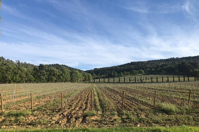 Provence at Your Own Pace and at Your Leisure! - Tour Guide Expertise