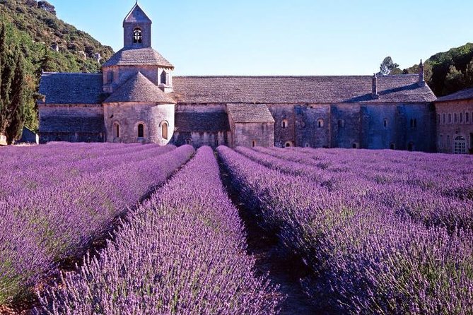 Provence Countryside Full-Day Private Tour From Nice - Transportation and Logistics