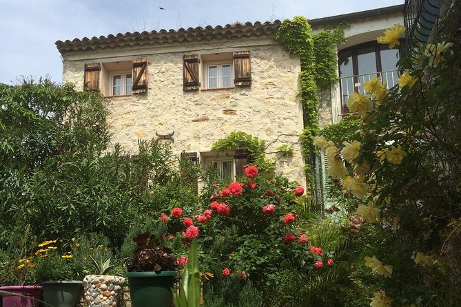 Provence Countryside Full-Day Private Tour From Nice - Accessibility and Additional Details