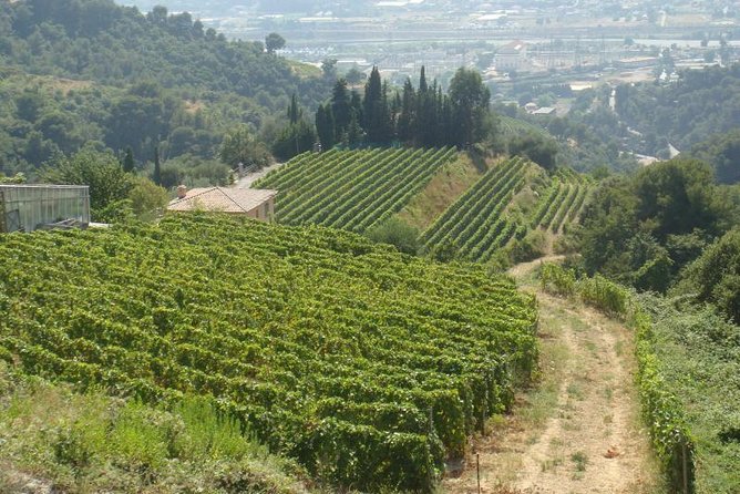 Provence Countryside Full-Day Private Tour From Nice - Tour Pricing and Booking