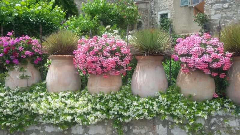 Provence Countryside Trip - Key Points