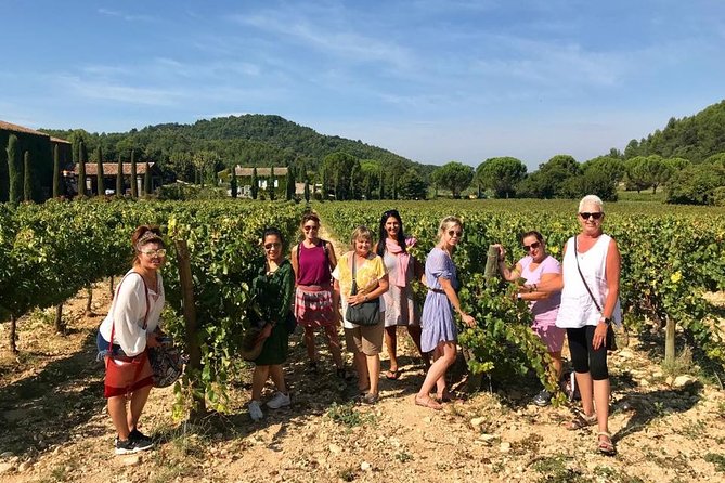 Provence Full Day Private Tour With Professional Guide From Marseille - Important Information