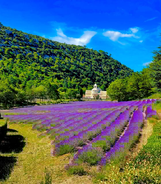 Provence Highlights Full-Day Tour From Avignon - Important Information