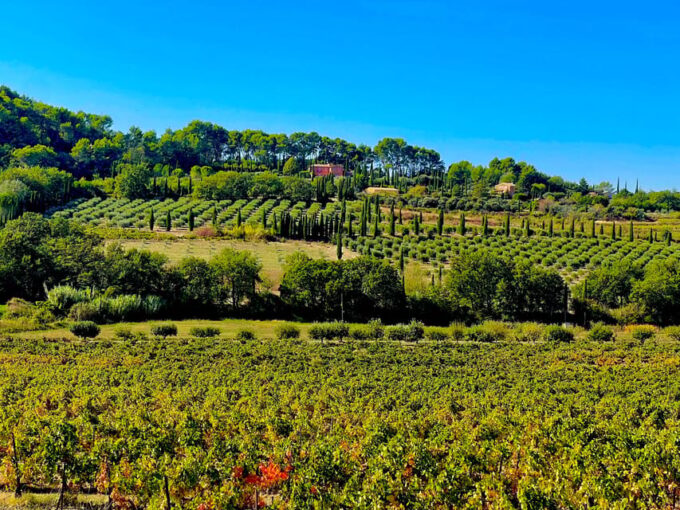 Provence Highlights Full-Day Tour From Avignon - Frequently Asked Questions