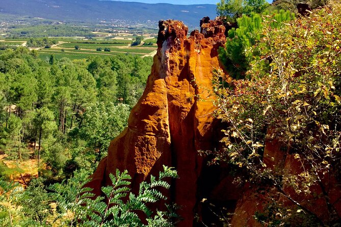 Provence Highlights Full-Day Tour From Avignon - Tour Duration and Schedule