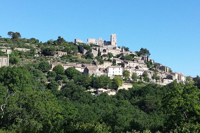Provence Highlights Full-Day Tour From Avignon - Accessibility and Special Considerations