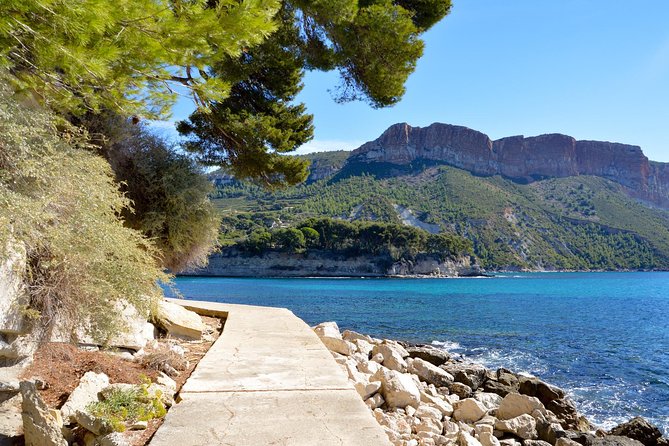Provence Highlights Private Full-Day Tour  - Marseille - Key Points