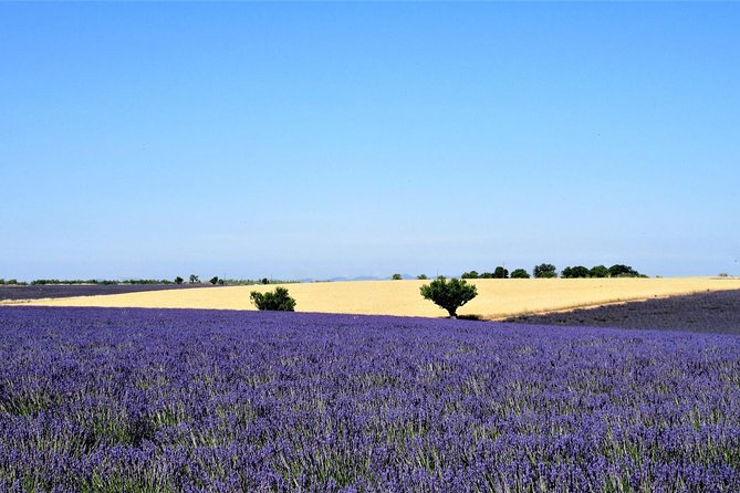 Provence Lavender Fields Tour From Aix-En-Provence - Shopping Opportunities