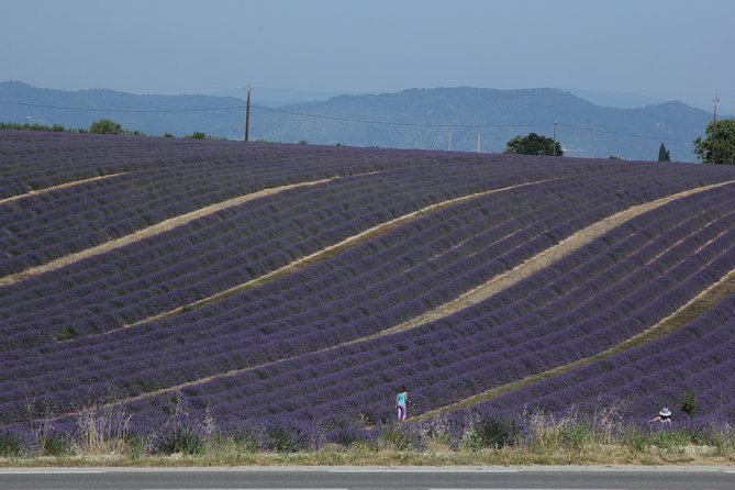 Provence Lavender Fields Tour From Aix-En-Provence - Inclusion Details