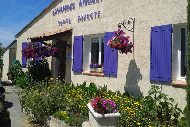 Provence Lavender Fields Tour in Valensole From Marseille - Itinerary