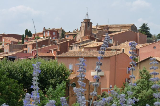 Provence Lavender Full Day Tour From Avignon - Lavender Field Exploration