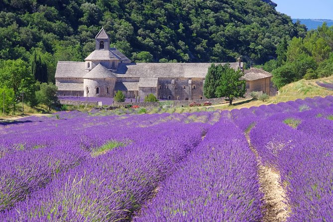 Provence Lavender Full Day Tour From Avignon - Charming Village Visits